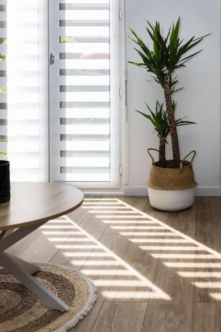 - Le Saint Pierre Apartment Chartres